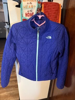 The North Face Quilted Jacket in Purple with Aqua Zipper
